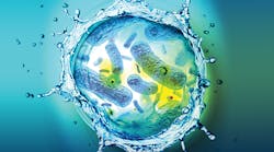 Automating Hygiene: What You Need to Know